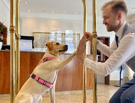 Hund gibt dem Hotelier in der Hotellobby die Pfote