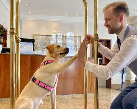 Hund gibt dem Hotelier in der Hotellobby die Pfote